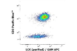 Flow cytometry multicolor intracellular staining of human peripheral whole blood stained using anti-LCK (LCK-01) purified antibody (concentration in sample 9 μg/mL, GAM APC) and anti-human CD3 (UCHT1) Pacific Blue antibody (20 μL reagent / 100 μL of peripheral whole blood). (LCK 抗体  (AA 22-36))