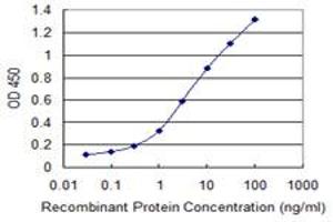 Detection limit for recombinant GST tagged CLDN19 is 0. (Claudin 19 抗体  (AA 1-211))