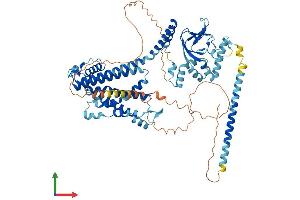 Protein Structure (PS) image for Cyclic Nucleotide Gated Channel alpha 3 (CNGA3) (AA 1-694) protein (His tag) (ABIN7553511)