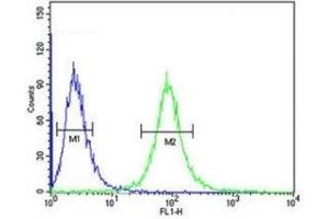 CD46 antibody flow cytometric analysis of CEM cells (green) compared to a negative control (blue). (CD46 抗体  (AA 317-343))