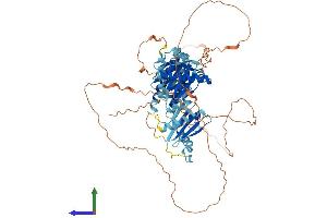 AlphaFold protein structure predicition of Mouse Recombinant Hps4 Protein, UniprotID Q99KG7