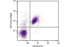 BALB/c mouse splenocytes were stained with Rat Anti-Mouse CD16/32-UNLB. (CD32/CD16 抗体)