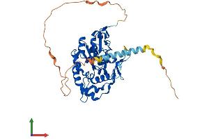 AlphaFold protein structure predicition of Human Recombinant HS3ST2 Protein, UniprotID Q9Y278