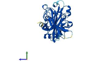Protein Structure (PS) image for Nudix (Nucleoside Diphosphate Linked Moiety X)-Type Motif 18 (NUDT18) (AA 1-323) protein (His tag) (ABIN7550035)