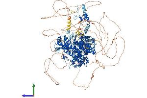 Protein Structure (PS) image for Zinc Finger, CCHC Domain Containing 6 (ZCCHC6) (AA 1-1495) protein (His tag) (ABIN7555890)