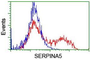 Flow Cytometry (FACS) image for anti-serpin Peptidase Inhibitor, Clade A (Alpha-1 Antiproteinase, Antitrypsin), Member 5 (SERPINA5) antibody (ABIN1500054) (SERPINA5 抗体)