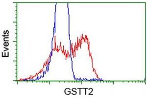 HEK293T cells transfected with either RC200040 overexpress plasmid (Red) or empty vector control plasmid (Blue) were immunostained by anti-GSTT2 antibody (ABIN2453099), and then analyzed by flow cytometry. (GSTT2 抗体)