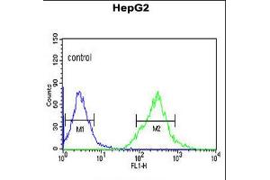 Flow cytometric analysis of HepG2 cells (right histogram) compared to a negative control cell (left histogram). (AFMID 抗体  (N-Term))