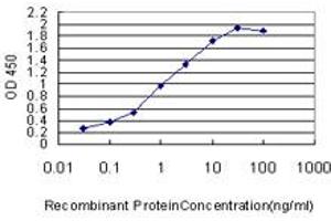 Detection limit for recombinant GST tagged ETV5 is approximately 0. (ETV5 抗体  (AA 181-290))
