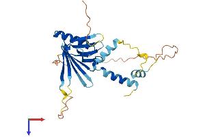 Chromosome 15 Open Reading Frame 60 (C15ORF60) (AA 1-259) protein (His tag)