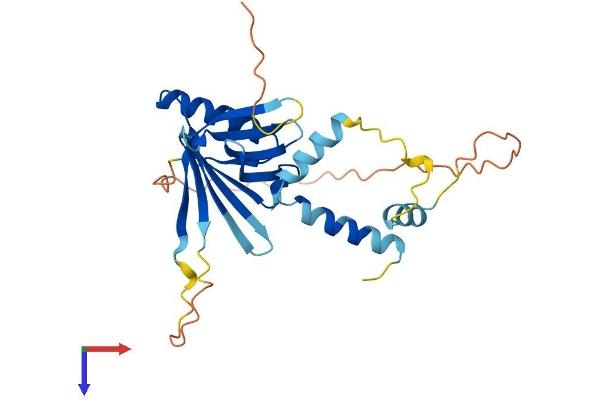 Chromosome 15 Open Reading Frame 60 (C15ORF60) (AA 1-259) protein (His tag)