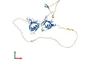 AlphaFold protein structure predicition of Human Recombinant PLEKHA1 Protein, UniprotID Q9HB21 (PLEKHA1 Protein (AA 1-404) (His tag))