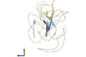 Protein Structure (PS) image for Dapper, Antagonist of beta-Catenin, Homolog 1 (DACT1) (AA 1-778) protein (His tag) (ABIN7564708)