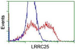 HEK293T cells transfected with either RC209911 overexpress plasmid (Red) or empty vector control plasmid (Blue) were immunostained by anti-LRRC25 antibody (ABIN2455881), and then analyzed by flow cytometry. (LRRC25 抗体)