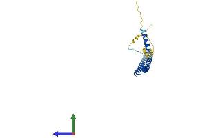 AlphaFold protein structure predicition of Mouse Recombinant Brms1 Protein, UniprotID Q99N20