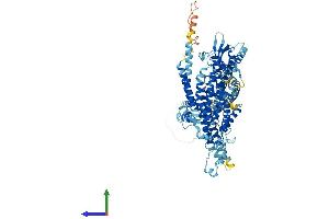 Protein Structure (PS) image for T-Cell, Immune Regulator 1, ATPase, H+ Transporting, Lysosomal V0 Subunit A3 (TCIRG1) (AA 1-830) protein (His tag) (ABIN7556007)