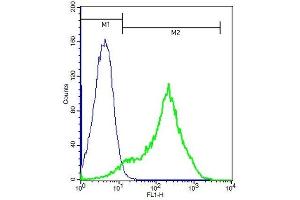 Mouse splenocytes probed with Rabbit Anti-Frizzled 10/CD350 Polyclonal Antibody (ABIN1714166) at 1:100 for 60 minutes followed by incubation with Goat Anti-Rabbit IgG FITC conjugated secondary at 1:100 (green) for 40 minutes compared to cont (FZD10 抗体  (AA 101-200))