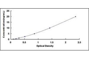 Typical standard curve (WFDC2 ELISA 试剂盒)