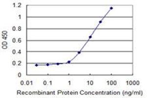 Detection limit for recombinant GST tagged MFRP is 0. (MFRP 抗体  (AA 480-579))