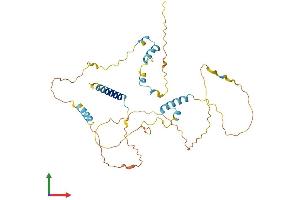 Protein Structure (PS) image for Family with Sequence Similarity 110, Member B (FAM110B) (AA 1-366) protein (His tag) (ABIN7559179)