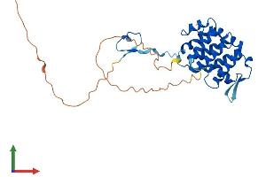 Protein Structure (PS) image for PARK2 Co-Regulated (PACRG) (AA 1-296) protein (His tag) (ABIN7550441)