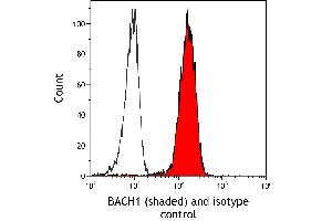 Flow Cytometry (FACS) image for anti-BTB and CNC Homology 1, Basic Leucine Zipper Transcription Factor 1 (BACH1) (AA 650-700) antibody (ABIN7795783)
