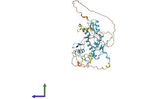 AlphaFold protein structure predicition of Human Recombinant ZNF787 Protein, UniprotID Q6DD87
