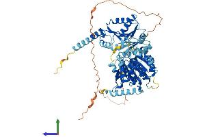 AlphaFold protein structure predicition of Human Recombinant DDX43 Protein, UniprotID Q9NXZ2