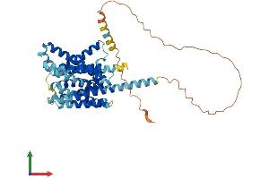 Protein Structure (PS) image for Solute Carrier Family 35, Member D3 (SLC35D3) (AA 1-422) protein (His tag) (ABIN7558551)