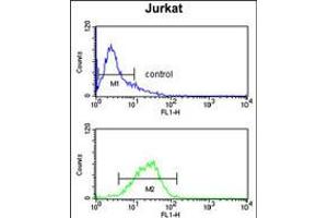 Flow cytometry analysis of Jurkat cells (bottom histogram) compared to a negative control cell (top histogram). (STIP1 抗体  (AA 269-297))
