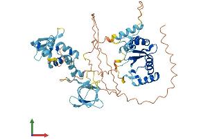 AlphaFold protein structure predicition of Mouse Recombinant Gin1 Protein, UniprotID Q8K259