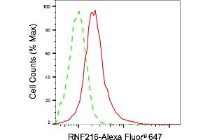Flow cytometric analysis of RNF216 expression in HepG2 cells using RNF216 antibody (ABIN7800249), 1:2,000). (RNF216 抗体)