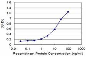 Detection limit for recombinant GST tagged RGS5 is approximately 1ng/ml as a capture antibody. (RGS5 抗体  (AA 94-181))