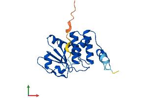 Protein Structure (PS) image for Dual Specificity Phosphatase 18 (DUSP18) (AA 1-188) protein (His tag) (ABIN7559879)