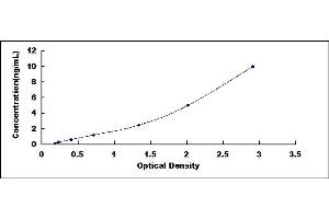 Typical standard curve (IgG4 ELISA 试剂盒)