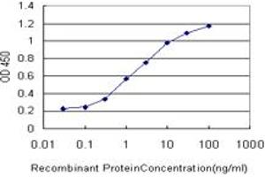 Detection limit for recombinant GST tagged MTF1 is approximately 0. (MTF1 抗体  (AA 41-140))