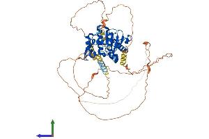 Protein Structure (PS) image for SUMO1/sentrin/SMT3 Specific Peptidase 2 (SENP2) (AA 1-589) protein (His tag) (ABIN7555453)