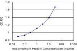 Sandwich ELISA detection sensitivity ranging from 0. (PLA2G16 (人) Matched Antibody Pair)