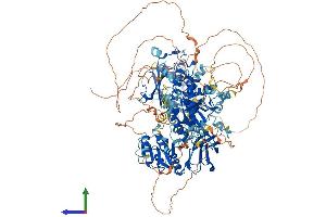 Protein Structure (PS) image for Phosphatidylinositol Transfer Protein, Membrane-Associated 1 (PITPNM1) (AA 1-1244) protein (His tag) (ABIN7554968)