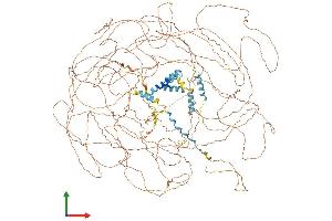 AlphaFold protein structure predicition of Human Recombinant SETBP1 Protein, UniprotID Q9Y6X0