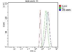 Flow Cytometry analysis of A431 cells using anti-NFIB/NF1B2 antibody (ABIN7602995).