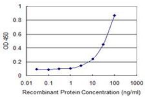 Detection limit for recombinant GST tagged OTUB1 is 1 ng/ml as a capture antibody. (OTUB1 抗体  (AA 1-271))