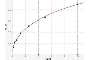Typical standard curve (Uromodulin ELISA 试剂盒)