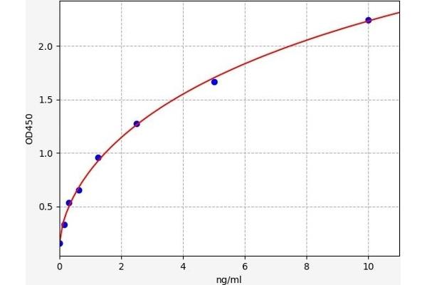Uromodulin ELISA 试剂盒