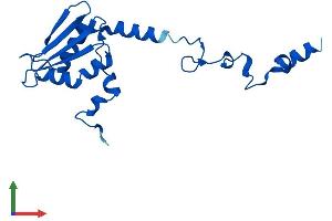 AlphaFold protein structure predicition of Mouse Recombinant Mrps25 Protein, UniprotID Q9D125