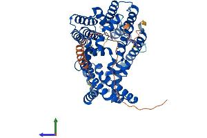 Protein Structure (PS) image for Membrane Bound O-Acyltransferase Domain Containing 2 (MBOAT2) (AA 1-519) protein (His tag) (ABIN7564700)