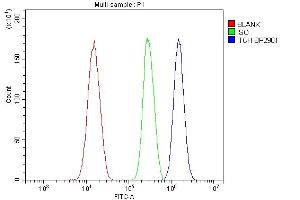 Flow Cytometry analysis of SiHa cells using anti-ITCH/AIP4 antibody (ABIN7600264).