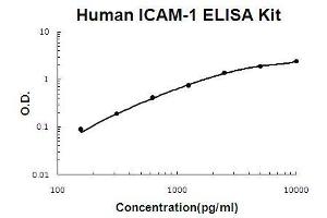 Human ICAM-1 PicoKine ELISA Kit standard curve (ICAM1 ELISA 试剂盒)
