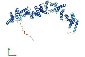 AlphaFold protein structure predicition of Human Recombinant TTC34 Protein, UniprotID A8MYJ7 (TTC34 Protein (AA 1-566) (His tag))