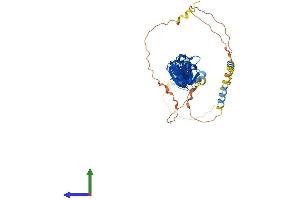 AlphaFold protein structure predicition of Human Recombinant TGFB1I1 Protein, UniprotID O43294